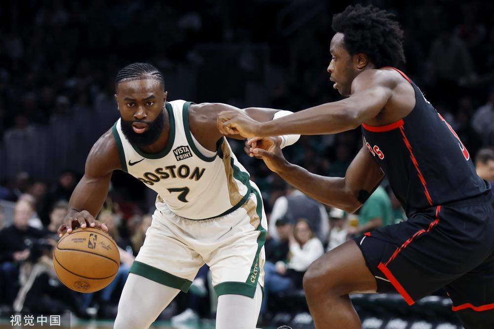 提供了新的 提供了新的